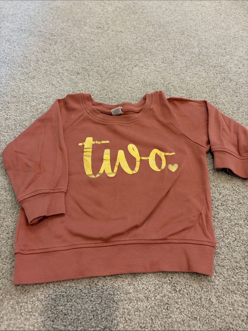 Kids "Two" Graphic Sweatshirt in Rust with Gold Foil